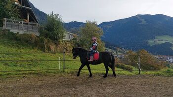 Super braver Ponywallach, Sandra Kostenzer, Konie na sprzedaż, Alpbach