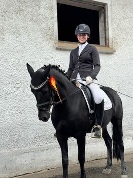 Super schicke Pony Rappstute für alle Sparten, Susanne, Konie na sprzedaż, Marktl