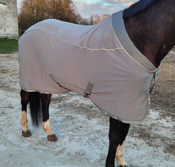 Super schöne Eskadron Abschwitzdecke, Eskadron  Reflexx SS21 Strech-Jersy, Julia , Horse Blankets, Sheets & Coolers, Hagenow