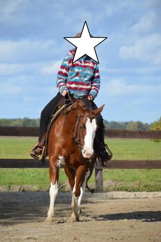Superliebe, kinderliebe Paint Horse Stute