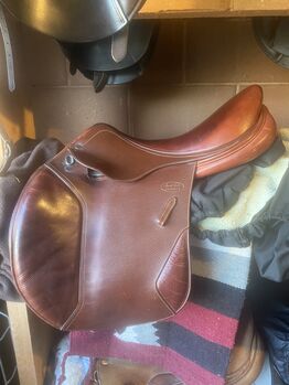 Superb 17.5 Mark Todd Saddle Medium, Mark Todd Jump, Eileen Belshaw, Springsattel, Lisburn