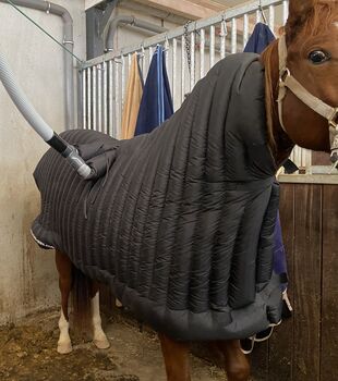 Pferde Föhn Trocken-Max, Trocken Mac, Stefanie , Pielęgnacja konia, Welzheim