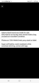 Black leather bridle Brand New! Salamo