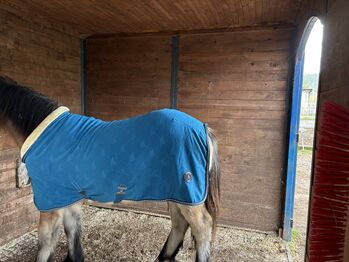 Abschwitzdecke 125cm, Felix Bühler Fleece-Abschwitzdecke Equestrian Sports, Helene Dörr, Horse Blankets, Sheets & Coolers, Wartenberg