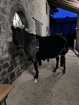 Abschwitzdecke 125cm, Glöckler, Tatti, Horse Blankets, Sheets & Coolers, Herzogenrath