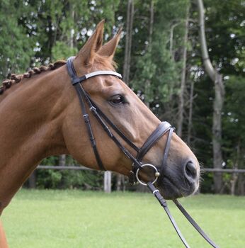 Tolles Dressurpferd, D.Heinrich , Konie na sprzedaż, Gilching 