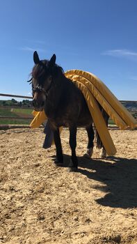 toller Freizeitpartner