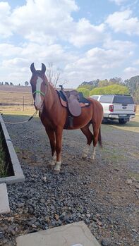 Synthetic stock saddle lightweight