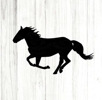 Ich suche ein Pflege oder Reit Beteiligung, Zoe, Horse Sharing
, Sinsheim 