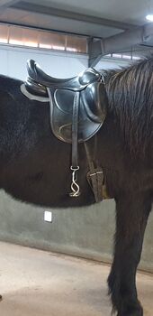 Tøltsaga Sigurd 17" - 17,5", Tøltsaga Sigurd, Ida, Siodła islandzkie, Münster