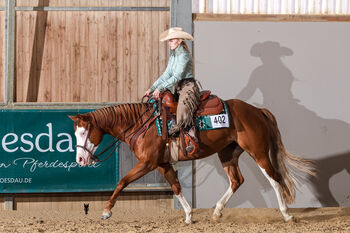 Talentierte Quarter Horse Stute mit erstklassiger Reining-Abstammung - ready to show, Kerstin Rehbehn (Pferdemarketing Ost), Pferd kaufen, Nienburg