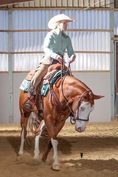 Talentierte Quarter Horse Stute mit erstklassiger Reining-Abstammung - ready to show