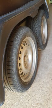 Verkaufe Humbauer Raphit, Humbaur   Raphit , Ernst Maier , Horse Trailers, Herbrechtingen