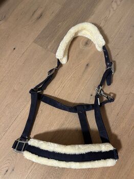 Teddyfell Halfter WB