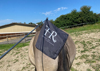 Teleskop Horsemanship Flag / Stick, Stella , Pomoce szkoleniowe , Falkenberg