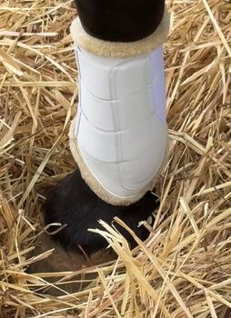 Tendon boots Premium - The perfect grift Trotando Juntos  Protection set tendon boots