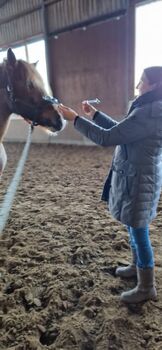 Pferdeklangtherapie, GWSA für Mensch &Pferd EquiSysHealing® 