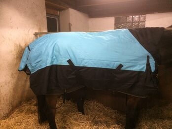 Thermo Master 1,65 cm Winterdecke, Thermo Master, Isabell Wamser, Horse Blankets, Sheets & Coolers, Egmating 
