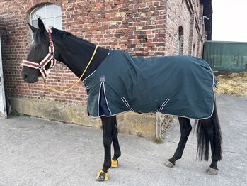 Regendecke Thermomaster, Thermomaster, Susanne Bröker, Horse Blankets, Sheets & Coolers, Bad Honnef