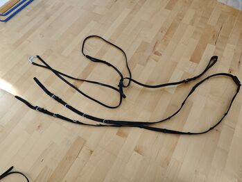 Thiedemann Zügel, Angela, Training Aids, Owingen 