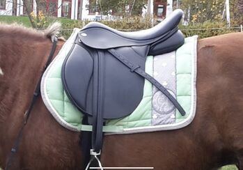 Thorowgood T8, 17,5 S, Kleinpferdesattel, Thorowgood  T8, Janina, All Purpose Saddle, Schmallenberg 