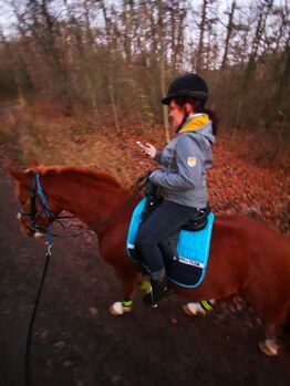 Verkaufe Wanderreitsattel Massimo tölt 2