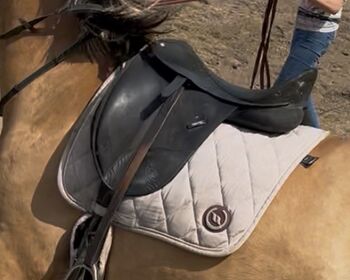 Back on Track Set, Back on track , melina, Dressage Pads, Stedesdorf 