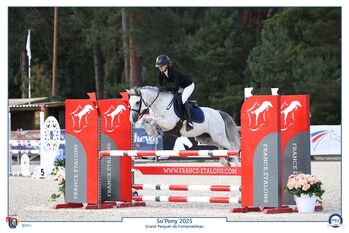 Futur Star Pony