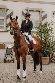 Toller Westfale sucht neues Zuhause als Freizeitpartner, Pferdevermittlung Leus (Pferdevermittlung Leus ), Pferd kaufen, Rätzlingen