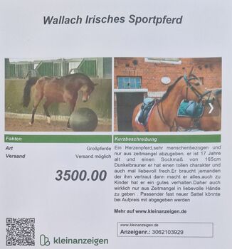 Tolles Reitpferd Wallach nur aus zeitlichen Gründen abzugeben, Markus , Pferd kaufen, Wedemak