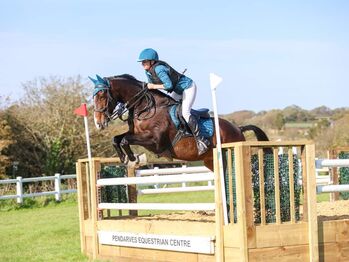 Top amateur showjumper, Heidi Petzing , Konie na sprzedaż, St. Ives