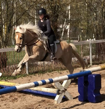 Top Kinderpony, Kronwitter Petra , Horses For Sale, Mainbernheim