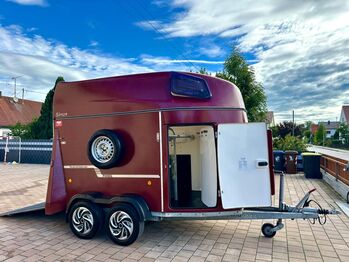 ❗️TOP Thiel Sinus Vollpoly ALUBODEN Pferdeanhänger Pferdehänger, Thiel  Sinus , Fuchs Daniel, Ellgau - Pferdeanhänger seit 2016  (Nutzfahrzeughandel und Vermietung Daniel Fuchs ), Horse Trailers, Ellgau 