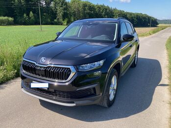Topp-Zugfahrzeug, Skoda Kodiaq Ambition TDI SCR 4x4, Roland, Horse Trailers, Tscheppach