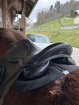 TopReiter JR Spezial mit Sattelpass TopReiter  JR Spezial