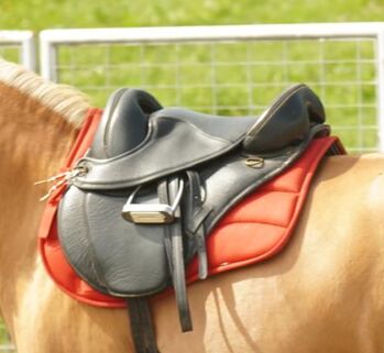 Torsion trekking saddle, Torsion, Roberta Masera, Treeless Saddle, Pino Torinese