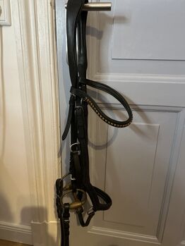 Trense anatomisch, Hans Melzer Tokio, Sölvy, Bridles & Headstalls, Flensburg