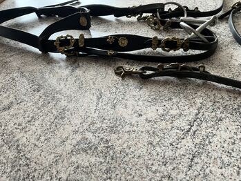 Trense Zaumzeug Barock Barock