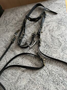 Trense Zaumzeug Barock, Barock, Uli, Bridles & Headstalls, Velden