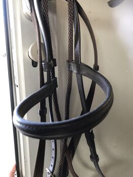 Zaum gebisslos, Deborah, Bridles & Headstalls, Luzern