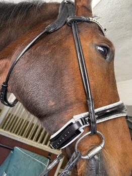 Trense Lack weiß unterlegt mit glitzer Magic Horse Design  White magic 