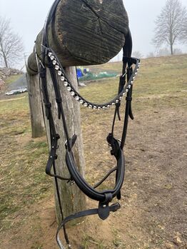 Trense/schwarz/Strass/ WB mit Stirnriemen changefast/mit Zügel, Showmaster, bonny, Bridles & Headstalls, Greifswald