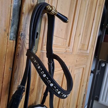 Trense Warmblut Busse Busse  Solibel