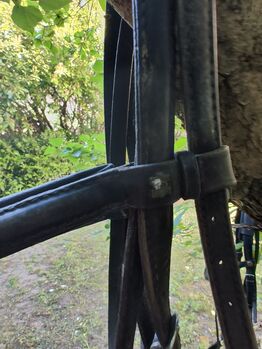 Trensenzaum Warmblut Halbrund genäht, Ute, Bridles & Headstalls, Düren