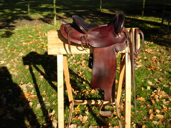 Wanderreitsattel, Westernsattel, Big Horn Hornloser Westernsattel, Haberzettl, Western Saddle, Walsrode