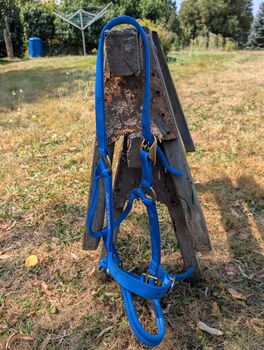 Ausbildungshalfter, Monty Roberts  Ausbildungshalfter , Luca, Halters, Meßkirch
