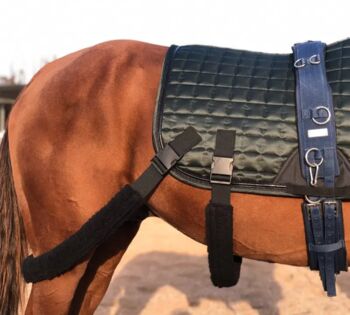 Trainingsschabracke, No Name  Schabracke mit Gummiband , Anja, Lunging, Bautzen