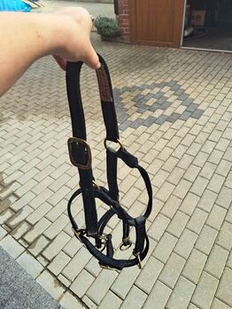 Trainings halfter von Monty Roberts Monty Roberts 
