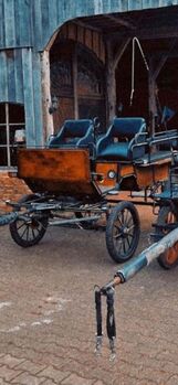 Trainingswagen/Wagonette/Kutsche, Rhea Heine, Kutschen, Schüttorf