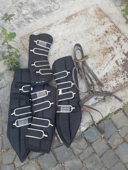 Transportgamaschen und Trense mit 13,5 Gebiss, Thermomaster, Kirsten Pfeifer , Tendon Boots, Mainz